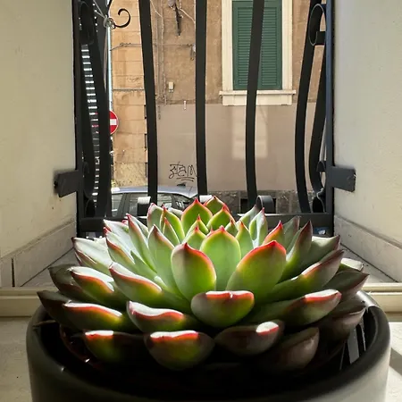 別荘 Casa Terme Della Rotonda カターニア